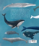 [중고] 세상의 모든 고래 | 다시 도벨 | 알라딘 [중고] 세상의 모든 고래 | 다시 도벨