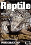 Reptile KOREA 렙타일 코리아 2020.9.10 | 렙타일 편집부 | 알라딘 Reptile KOREA 렙타일 코리아 2020.9.10 | 렙타일 편집부