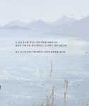 알라딘: 새들의 세탁소 새들의 세탁소