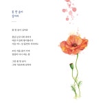 [중고] 그대의 향기가 바람에 날릴 때 : 알라딘