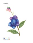 [중고] 더 쉬운 보타니컬 아트 컬러링북 : 꽃과 열매 편 | 김민주 | 알라딘 [중고] 더 쉬운 보타니컬 아트 컬러링북 : 꽃과 열매 편 | 김민주