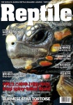 Reptile KOREA 렙타일 코리아 2020.11.12 | 렙타일 편집부 | 알라딘 Reptile KOREA 렙타일 코리아 2020.11.12 | 렙타일 편집부