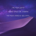 사막에서는 길을 묻지 마라 : 알라딘