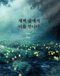 새벽 숲에서 너를 만나다 : 알라딘