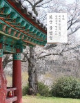 지혜와 위로를 주는 풍경의 발견 : 알라딘