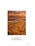 알라딘: 블루스트리트(BLUE STREET) : Special Edition 당신이 몰랐던 화성의 맛과 멋 블루스트리트(BLUE STREET) : Special Edition... 
