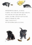 [중고] 발 도장 꽃 도장 | 허은순 | 알라딘 [중고] 발 도장 꽃 도장 | 허은순