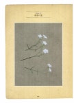 알라딘: [중고] 야생화 자수 2 [중고] 야생화 자수 2