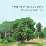 상수리나무와 함께한 시간 : 알라딘