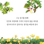 상수리나무와 함께한 시간 : 알라딘