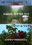 [전자책] 석굴암은 제주에도 있다 | 장영주 | 알라딘 석굴암은 제주에도 있다 | 장영주