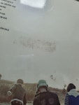 알라딘: [중고] 비원에이포 - 정규 2집 Who Am I [음반6종(단체1종+개인5종) 중 랜덤 발송] [중고] 비원에이포 - 정규 2집 Who Am I [음반6종... 