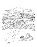 해녀리나 coloring book : 알라딘