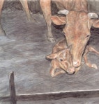 목장 | 책가방 속 그림책 | 이상 | 알라딘 목장 | 책가방 속 그림책  | 이상