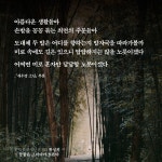 [전자책] 눈물은 그러다가 흐른다 | 황성희 | 알라딘 눈물은 그러다가 흐른다 | 황성희