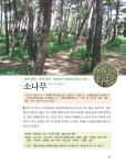 약용나무 대사전 | 정구영.정로순 | 알라딘 약용나무 대사전 | 정구영.정로순