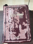알라딘: [중고] 한영해설성경 niv [중고] 한영해설성경 niv