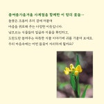 [중고] 내 마음의 들꽃 산책 : 알라딘