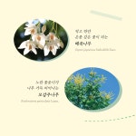[중고] 내 마음의 들꽃 산책 | 이유미 | 알라딘 [중고] 내 마음의 들꽃 산책 | 이유미