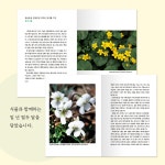 [중고] 내 마음의 들꽃 산책 | 이유미 | 알라딘 [중고] 내 마음의 들꽃 산책 | 이유미