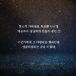 카드리뷰 : 알라딘