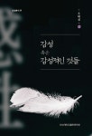 감성 혹은 감성적인 것들 | 전남대학교 호남학연구원 감성총서 29 | 조태성 | 알라딘 감성 혹은 감성적인 것들 | 전남대학교 호남학연구원... 