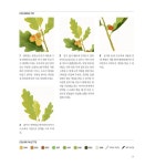 [중고] 손끝에서 피어나는 오일파스텔 꽃 컬러링북 세트 - 전2권 (가이드북 + 컬러링북) | 송지현 | 알라딘 [중고] 손끝에서 피어나는 오일파스텔 꽃... 