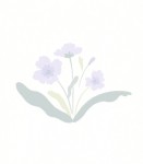 [중고] 손끝에서 피어나는 오일파스텔 꽃 컬러링북 세트 - 전2권 (가이드북 + 컬러링북) | 송지현 | 알라딘 [중고] 손끝에서 피어나는 오일파스텔 꽃... 