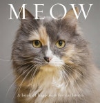 Meow: A Book of Happiness for Cat Lovers (Paperback) | Anouska Jones | 알라딘 Meow: A Book of Happiness for Cat Lovers... 