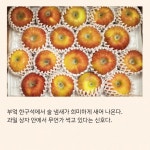 미식가를 위한 식물 사전 : 알라딘