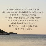 카드리뷰 : 알라딘