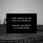 동물농장 | 에디터스 컬렉션 11 | 조지 오웰 | 알라딘 동물농장 | 에디터스 컬렉션 11 | 조지 오웰