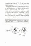 맨리 글, 스티븐 포니어 그림, 김동광 옮김 | 알라딘 [중고] 그림으로... 이론과 양자역학 | 스티븐 L. 맨리 글, 스티븐 포니어 그림, 김동광 옮김