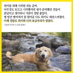귀농멍 위키와 나 | 한태훈.한위키 | 알라딘 귀농멍 위키와 나 | 한태훈.한위키