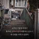 흐르는 눈물은 닦지 마라 : 알라딘