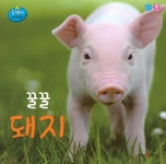 꿀꿀 돼지 | 올챙이 자연동화 | 인북 편집부 | 알라딘 꿀꿀 돼지 | 올챙이 자연동화  | 인북 편집부