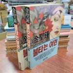 알라딘: [중고] 불타는 여인 (상,하)= 총2권 세트 [중고] 불타는 여인 (상,하)= 총2권 세트