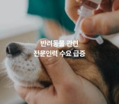 [중고] 동물보건사 : 간호학 기초편 | 원상철.최인영 | 알라딘 [중고] 동물보건사 : 간호학 기초편 | 원상철.최인영
