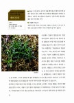 알라딘: 풀꽃과 함께 하는 건강약초 126선 풀꽃과 함께 하는 건강약초 126선