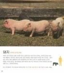 피규어 동물백과 | 피규어 백과 | 삼성출판사 편집부 | 알라딘 피규어 동물백과 | 피규어 백과  | 삼성출판사 편집부