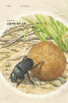 자연의 청소부, 소똥구리 : 알라딘