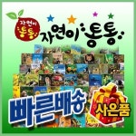 프리미엄 자연이통통 총82종 [개정최신판] 첫자연그림책 | 알라딘 프리미엄 자연이통통 총82종 [개정최신판] 첫자연그림책