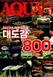 아쿠아 라이프 Aqua Life 2022.1 | 아쿠아라이프 편집부 | 알라딘 아쿠아 라이프 Aqua Life 2022.1 | 아쿠아라이프 편집부