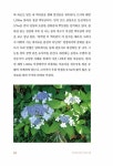 까까머리 유년의 섬마을 사계 | 박정호 | 알라딘 까까머리 유년의 섬마을 사계 | 박정호