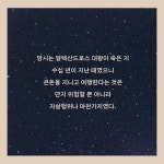 갈대 속의 영원 | 이레네 바예호 | 알라딘 갈대 속의 영원 | 이레네 바예호