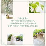 죽고 싶은 내 두 손에 식물이 : 알라딘