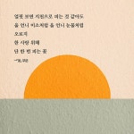 알라딘: 목화꽃 송이로 터지듯 목화꽃 송이로 터지듯