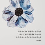 알라딘: 목화꽃 송이로 터지듯 목화꽃 송이로 터지듯