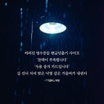 알라딘: 목화꽃 송이로 터지듯 목화꽃 송이로 터지듯