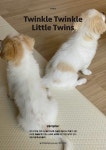 Mellow Dog Volume 2 (멜로우매거진) | Mellow Volume 2 | 옥세일 | 알라딘 Mellow Dog Volume 2 (멜로우매거진) | Mellow Volume 2... 
